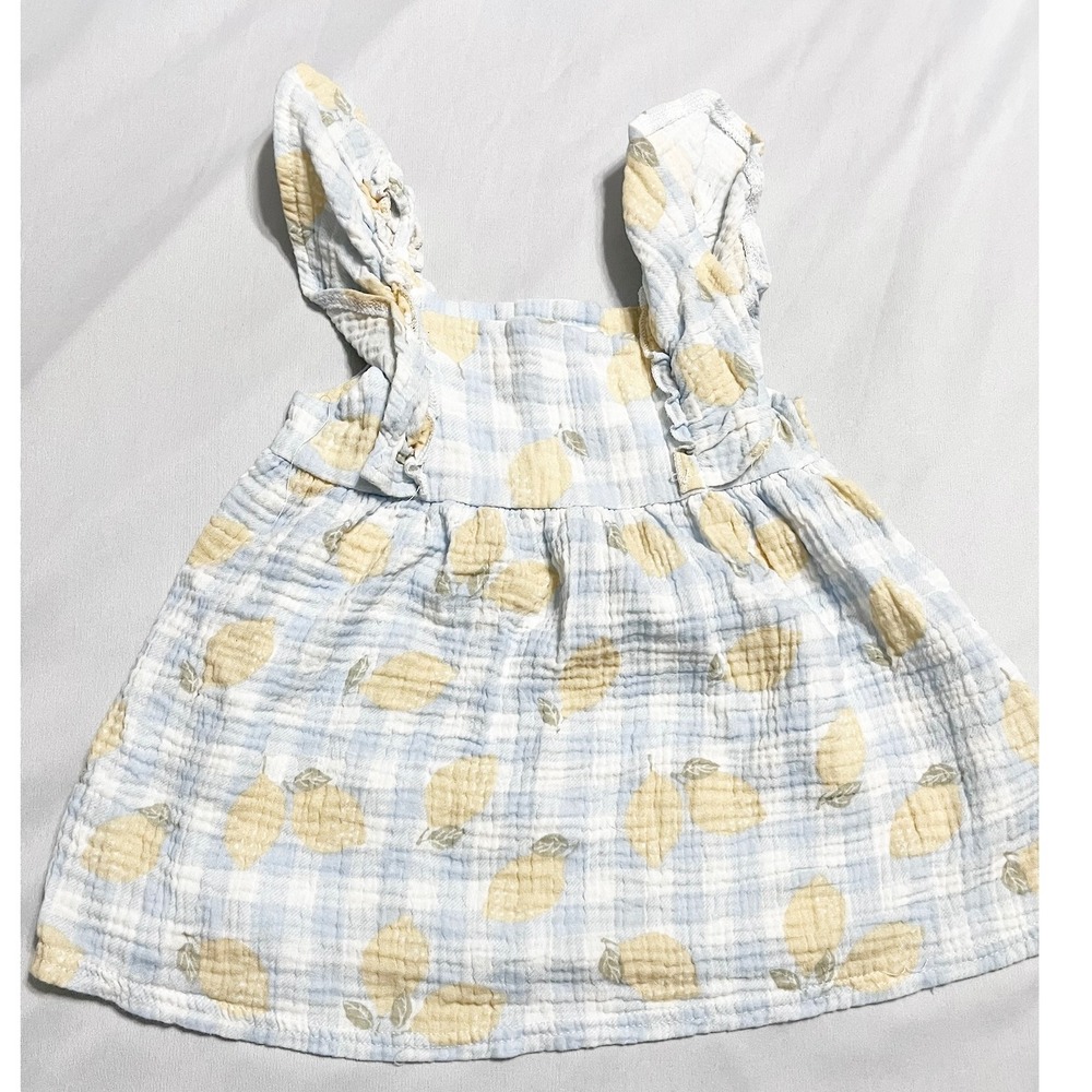 Emily And Oliver Baby Girls Size 24M Blue Gingham Lemon Print Gauzy Cotton Dress